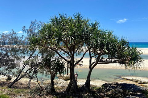 Full-Day Small Group Tour To North Stradbroke Island - Restaurant Gold Coast 5