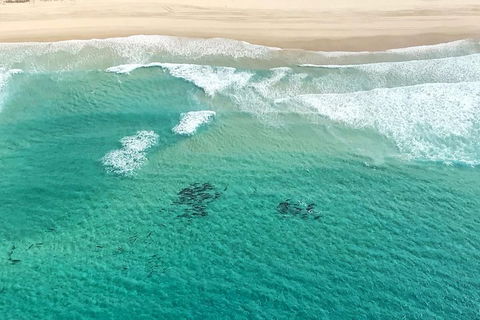 Coastal Helicopter Shared Flight - 20 Minutes - Restaurant Gold Coast 4