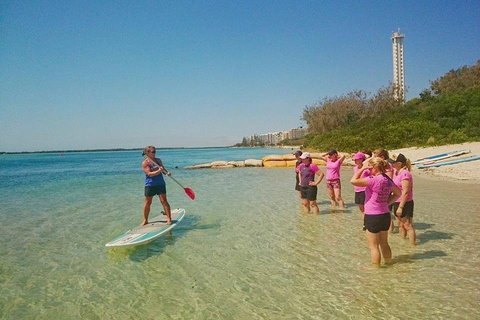 Golden Beach 1-Hour Stand-Up Paddleboard Hire On The Sunshine Coast - Restaurant Gold Coast 1