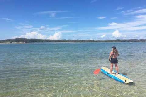 Golden Beach 1-Hour Stand-Up Paddleboard Hire On The Sunshine Coast - Restaurant Gold Coast 4