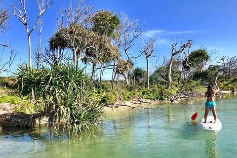 Golden Beach 1-Hour Stand-Up Paddleboard Hire On The Sunshine Coast - Restaurant Gold Coast 5