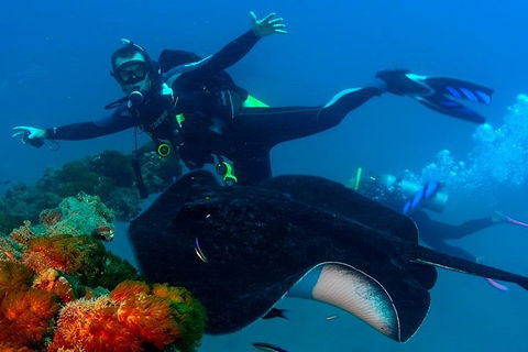 Scuba Dive The S.S. Yongala Wreck On The Great Barrier Reef. - Restaurant Gold Coast 0