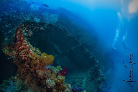Scuba Dive The S.S. Yongala Wreck On The Great Barrier Reef. - Restaurant Gold Coast 3
