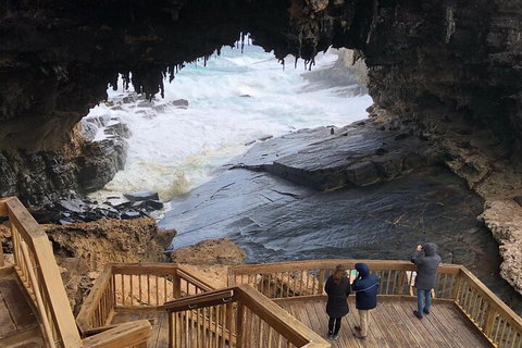 Kangaroo Island 4WD Tour - Best Of KI - Restaurant Gold Coast 1