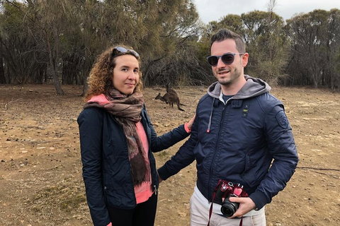 Kangaroo Island 4WD Tour - Best Of KI - Restaurant Gold Coast 3